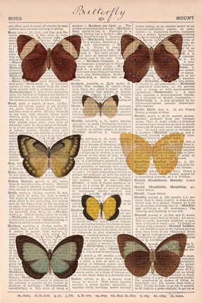Framed American Butterflies II Print