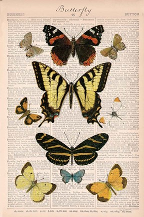Framed American Butterflies I Print