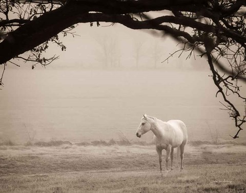 Framed Hazy Horse II Print