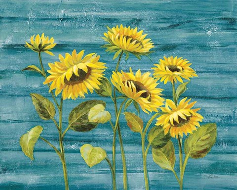 Framed Cottage Sunflowers Teal Print