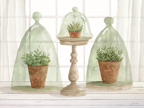 Framed Garden Cloche Trio I Print