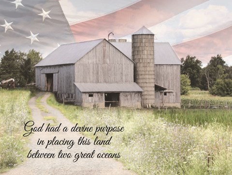 Framed Devine Purpose Print