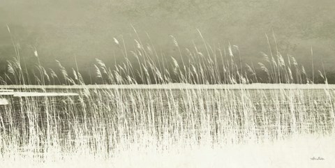 Framed Beach Grass Print