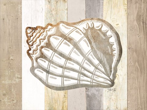 Framed Coastal Shell I Print