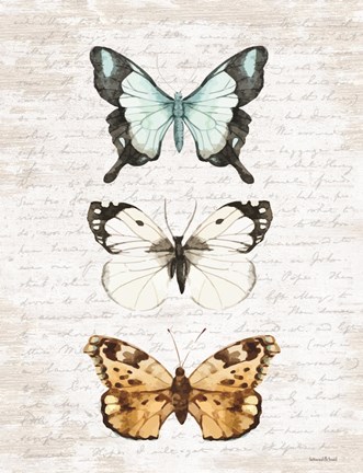 Framed Butterfly Trio Print