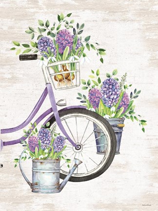 Framed Hyacinth Harvest Print