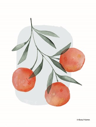 Framed Summer Orange Print