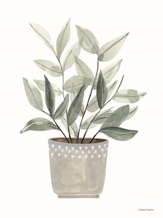 Framed Sage Planter Print