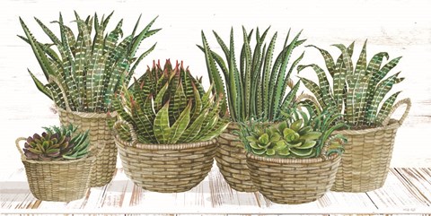 Framed Succulent Baskets Print