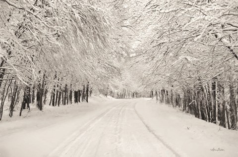 Framed Snowbound Print