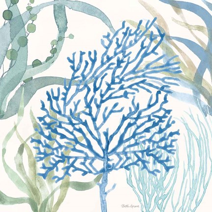 Framed Soft Shores VI Print