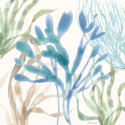 Framed Soft Shores IX Print