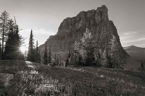 Framed Boulder Pass Glacier National Park BW Print