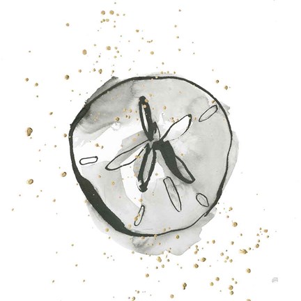 Framed Sand Dollar II Print