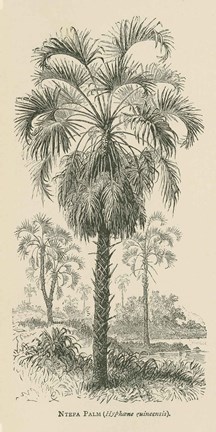 Framed Creators Wonders Book Palm Print