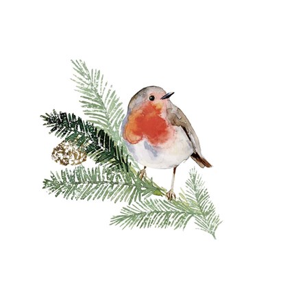 Framed Winter Visitor I Print