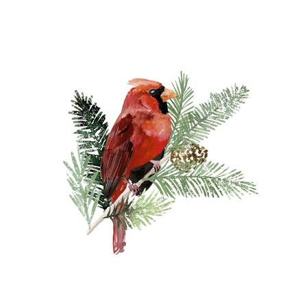 Framed Winter Visitor III Print