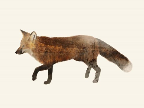 Framed Wilderness VI Print