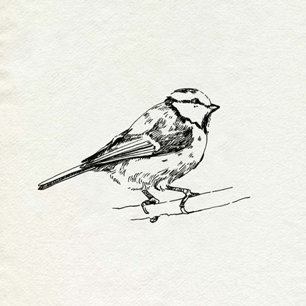 Framed Bird Feeder Friends IV Print