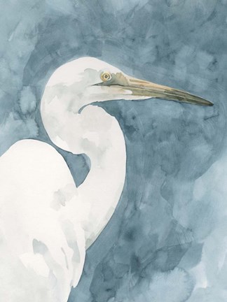 Framed Watercolor Heron Portrait II Print