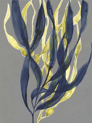 Framed Kelp Embrace I Print