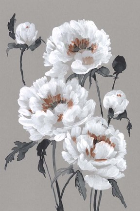 Framed Peony Profusion I Print
