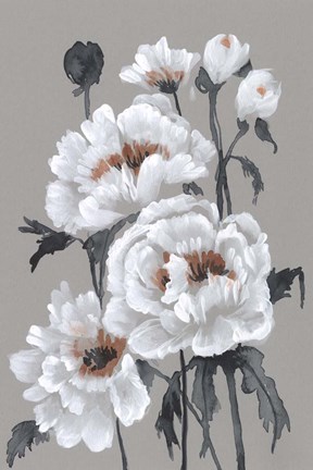 Framed Peony Profusion II Print