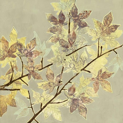 Framed Renewed Maple I Print