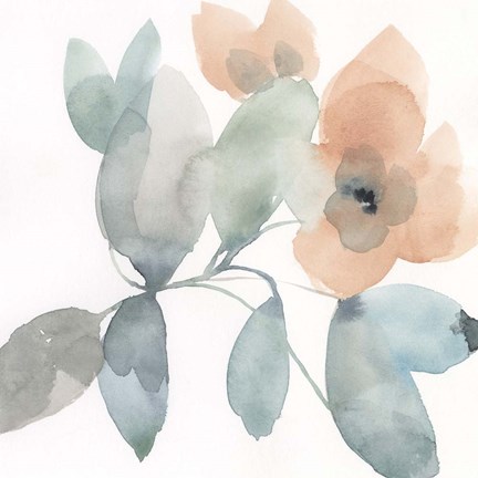 Framed Water and Petals II Print