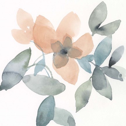 Framed Water and Petals III Print