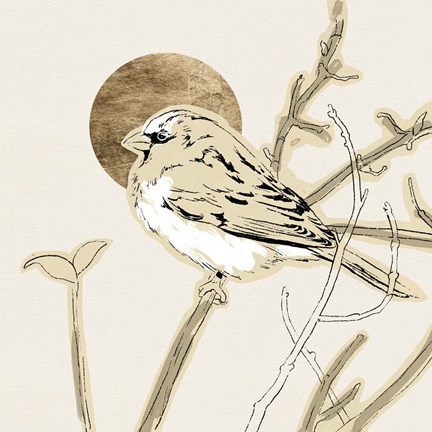 Framed Spring Passerine II Print