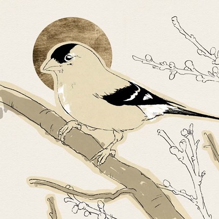 Framed Spring Passerine IV Print