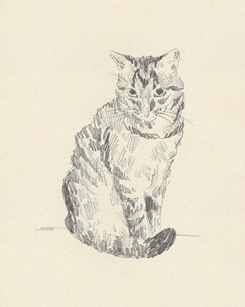 Framed House Cat I Print