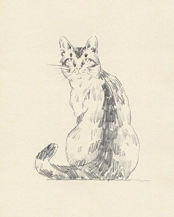 Framed House Cat V Print