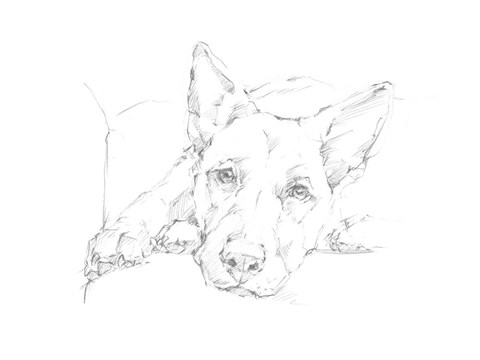 Framed Lazy Dog IV Print