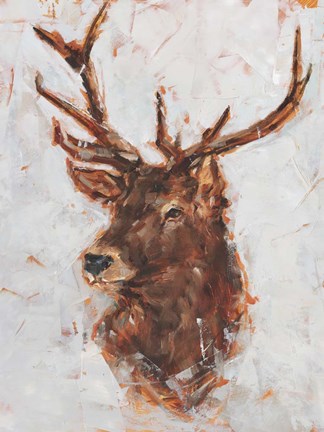 Framed Stag Study I Print