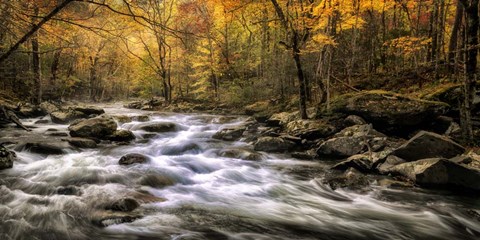 Framed Autumn Bliss Print