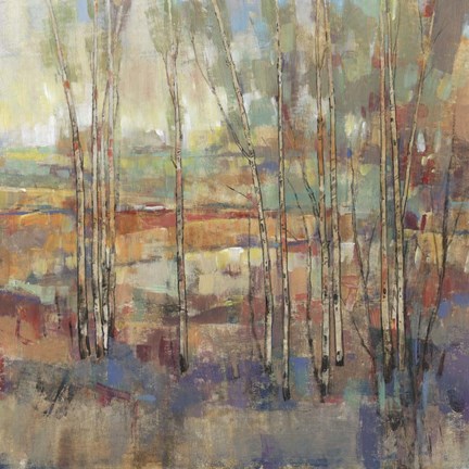 Framed Kaleidoscopic Forest I Print