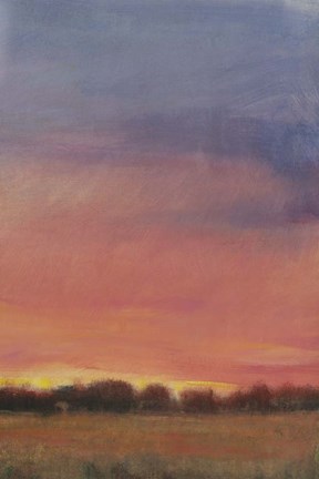 Framed Daylight Fades III Print