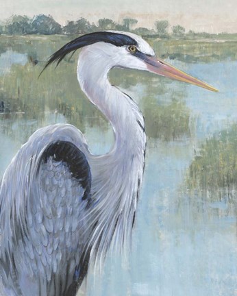 Framed Blue Heron Portrait II Print