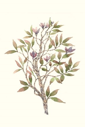 Framed Twig Study II Print
