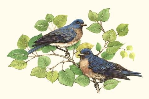 Framed Song Birds I Print