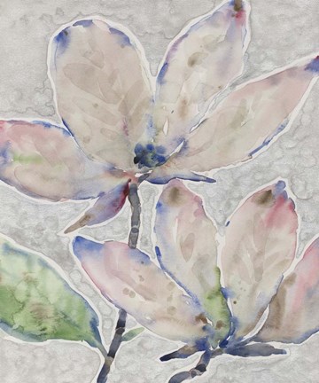 Framed Blossom Study II Print