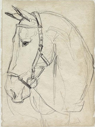 Framed Horse in Bridle Sketch II Print