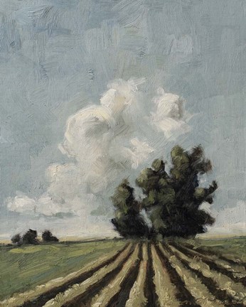 Framed Copse of Trees Print