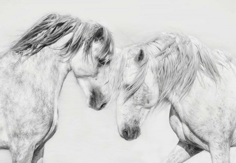 Framed Equine Portrait I Print