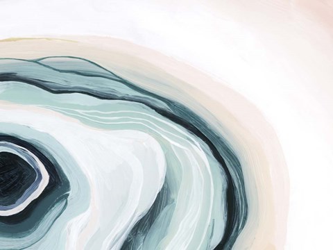 Framed Half Shell IV Print