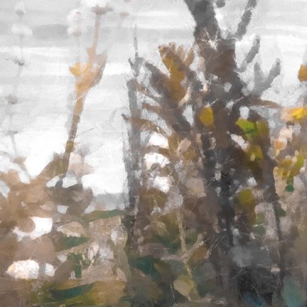 Framed Going In Mixed II Print