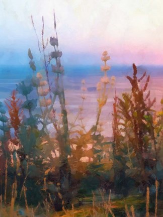 Framed Light of Day I Print