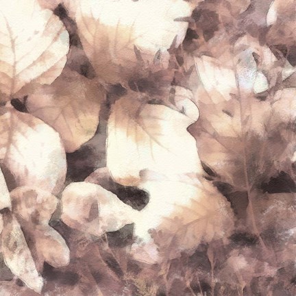 Framed Blush Shaded Leaves IV Print